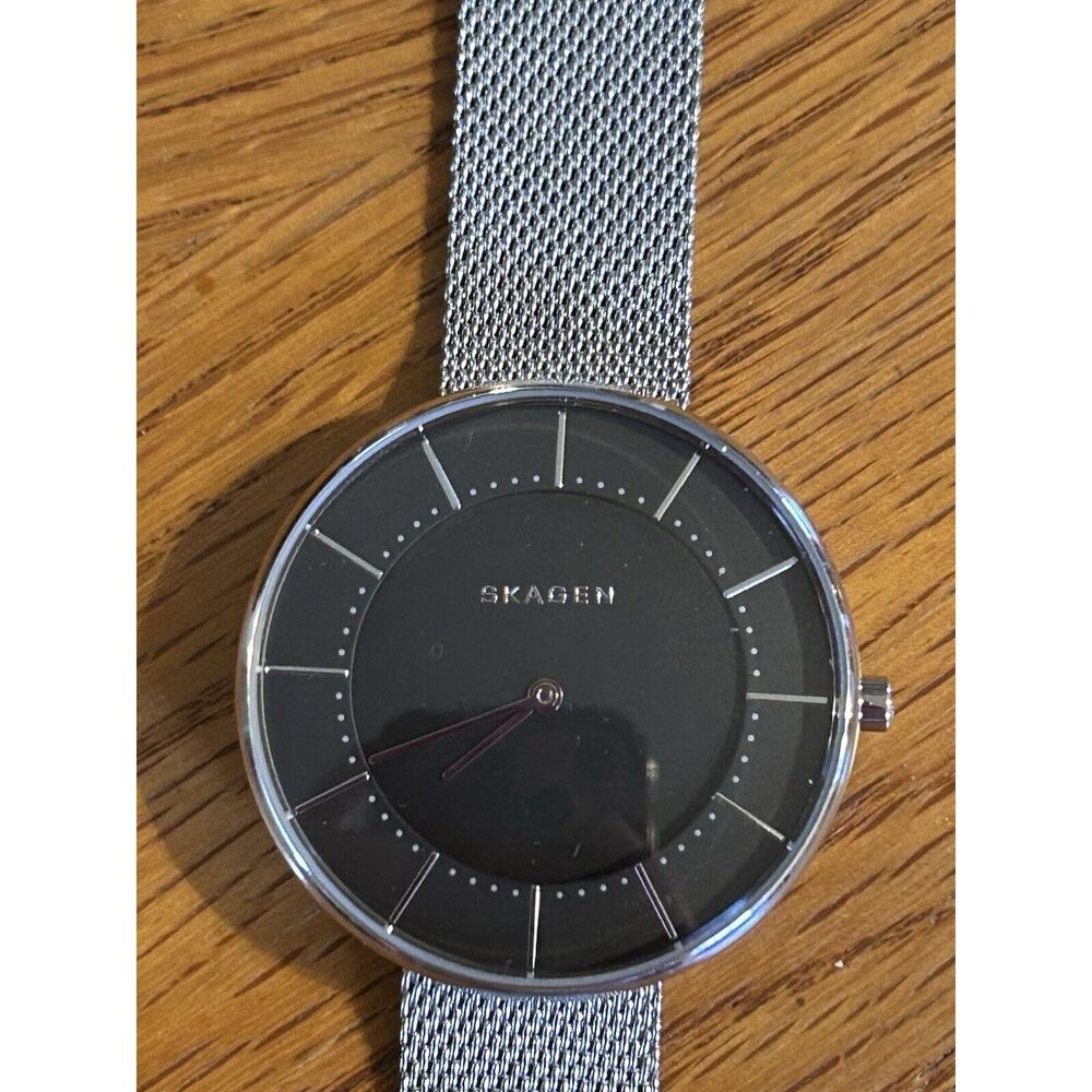 Skagen Skw2561 Gitte Dial Black Dial Stainless Steel Women's Watch